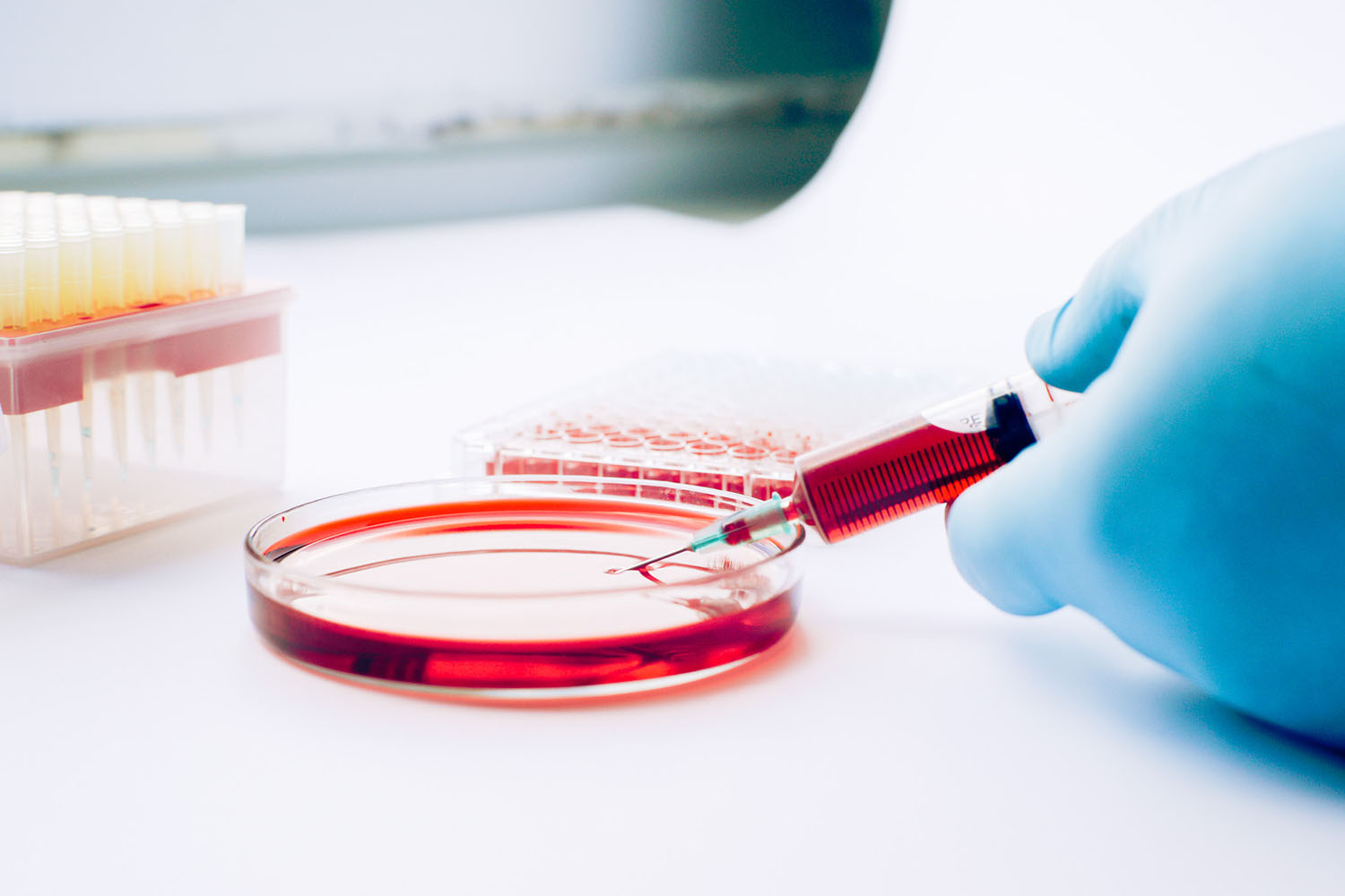 Flip Mycoplasma: Fast, Simple, On-Site Detection for Cell Culture Labs