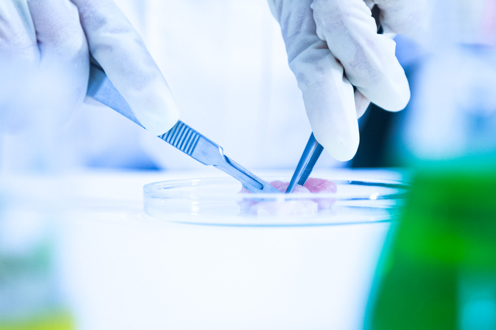 The scientist test or science research,science concept,science education,science background ,science experiments and selective focus.