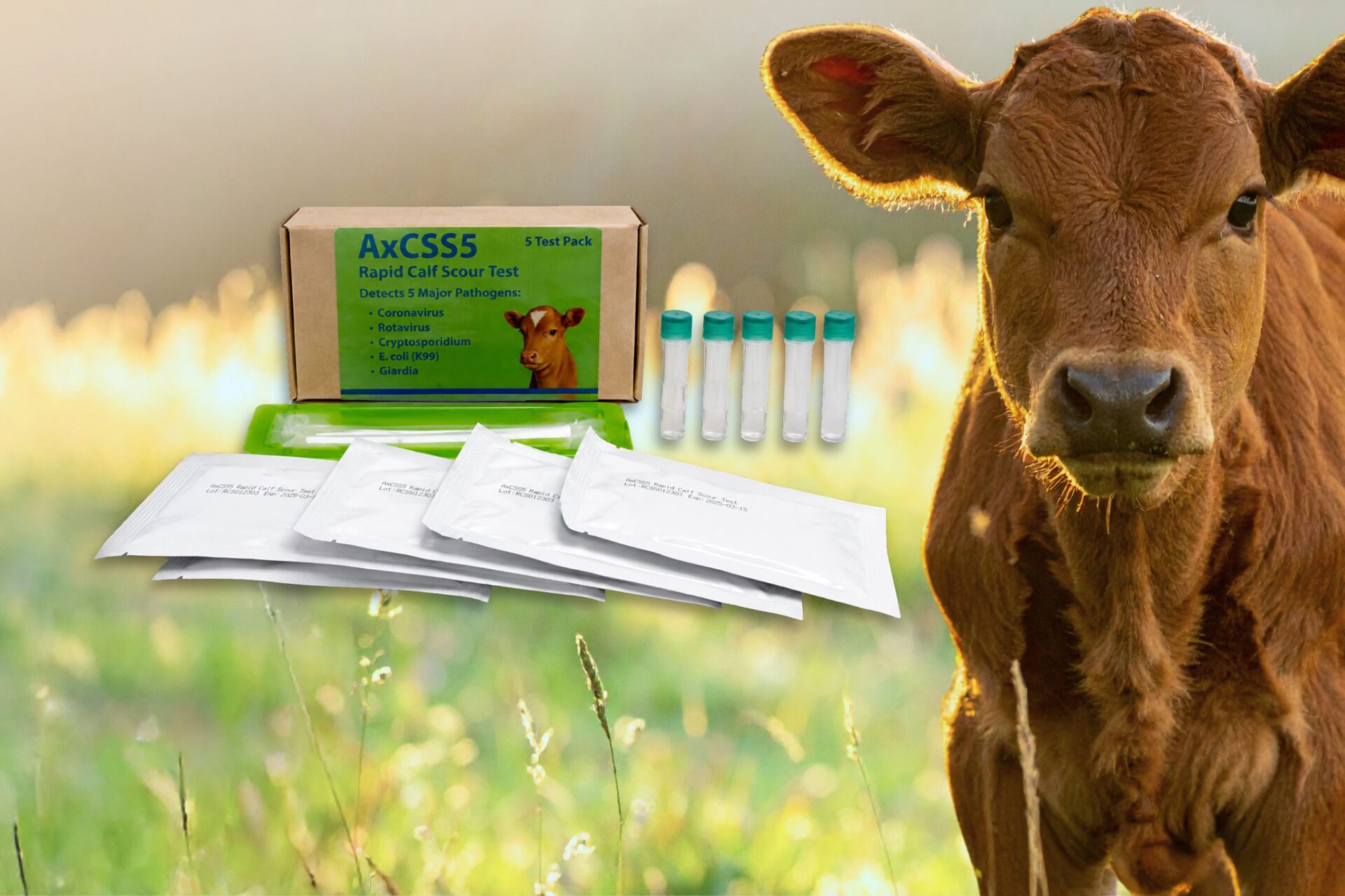NgaioDx Rapid Calf Scour